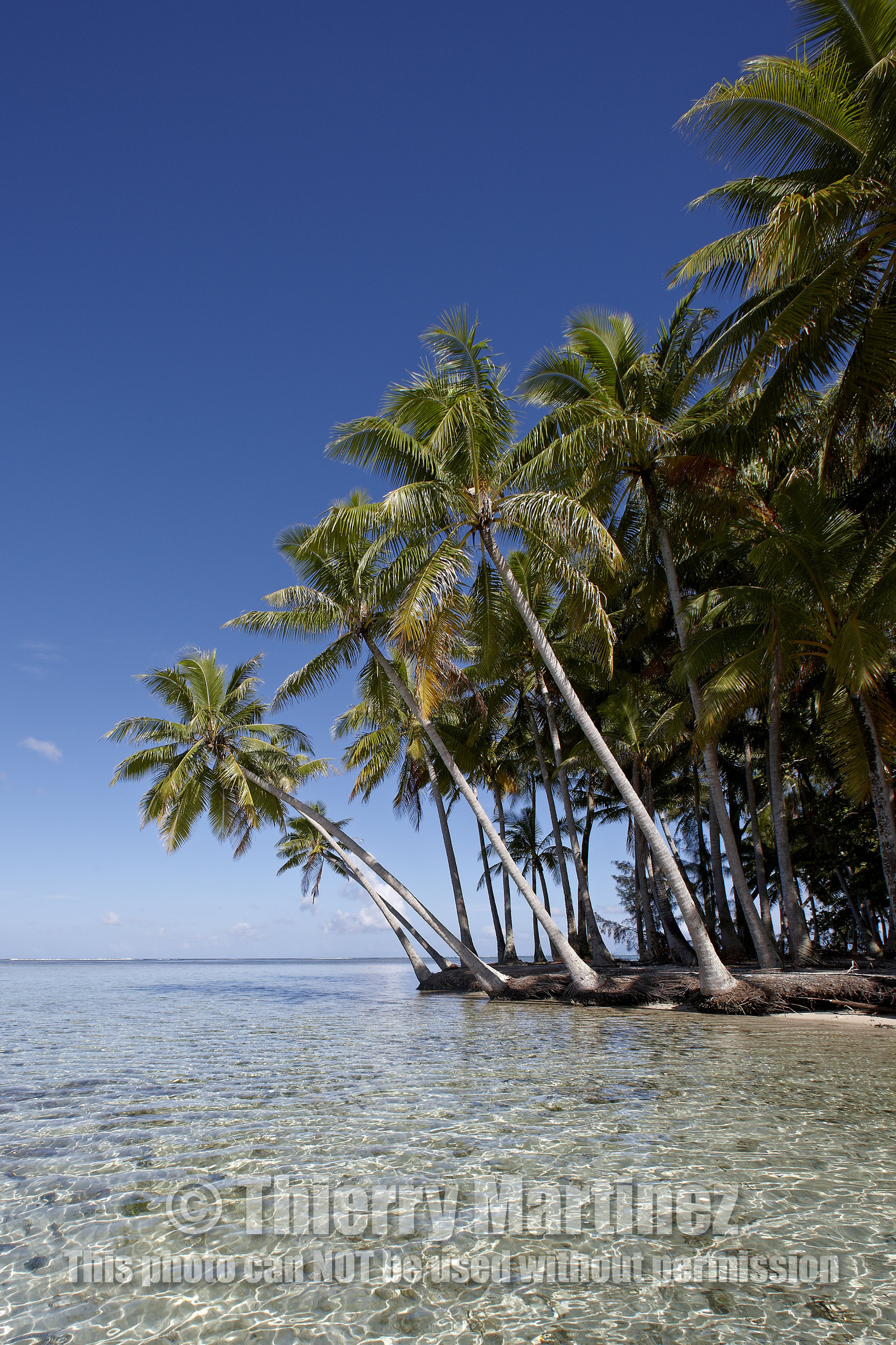 15_024827  ©ThMartinez Sea&Co.  RAIATEA - ILES SOUS LE VENT. POLYNESIE FRANCAISE .  2 Février 2015. ..