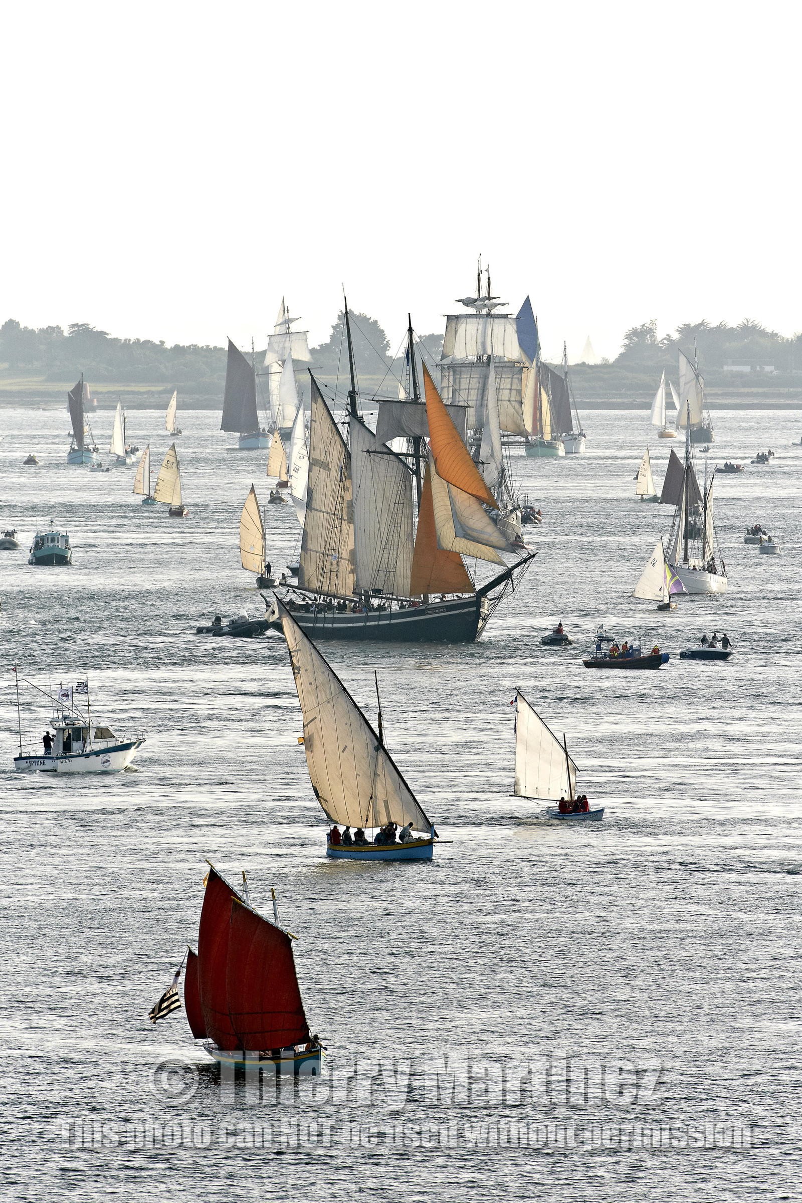 Semaine du Golfe 2015. Parade d'arrivée de la flotte.