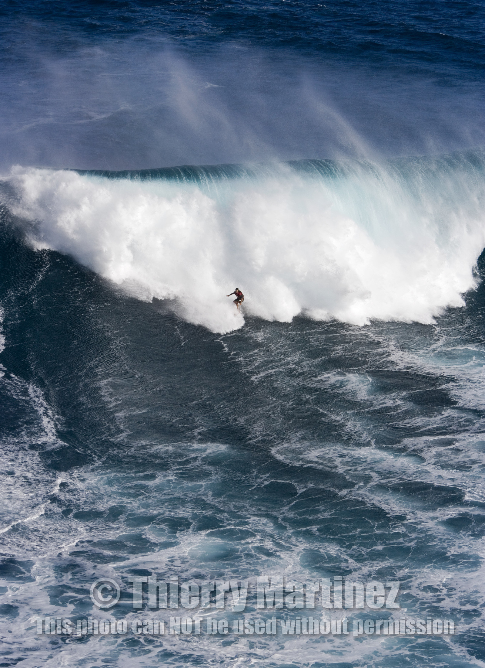MAUI - HAWAII - USA . Jan 2007.