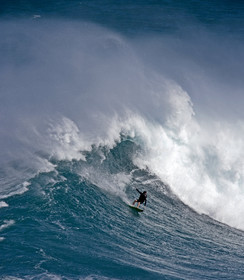 MAUI - HAWAII - USA . Jan 2007.
