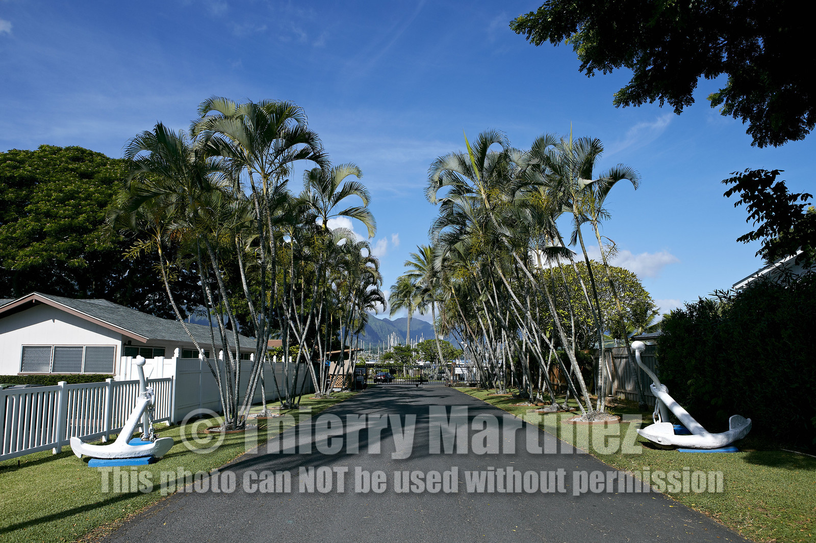 2013 McDOUGALL+McCONAGHY Moth Worlds - Kaneohe Bay - Hawaii -USA . October 2013