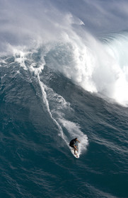 MAUI - HAWAII - USA . Jan 2007.