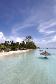 15_027838  ©ThMartinez Sea&Co.  FAKARAVA - ARCHIPEL des TUAMOTU. POLYNESIE FRANCAISE .  14 Février 2015. .