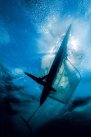 Moth International - Bladerider - Blairgowrie VICTORIA - AUSTRALIE . Feb 2007.