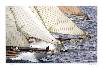 07_30399-st tropezfond blanc-.jpg