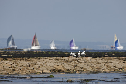 2014 JP Morgan Asset Management Round the Island Race .