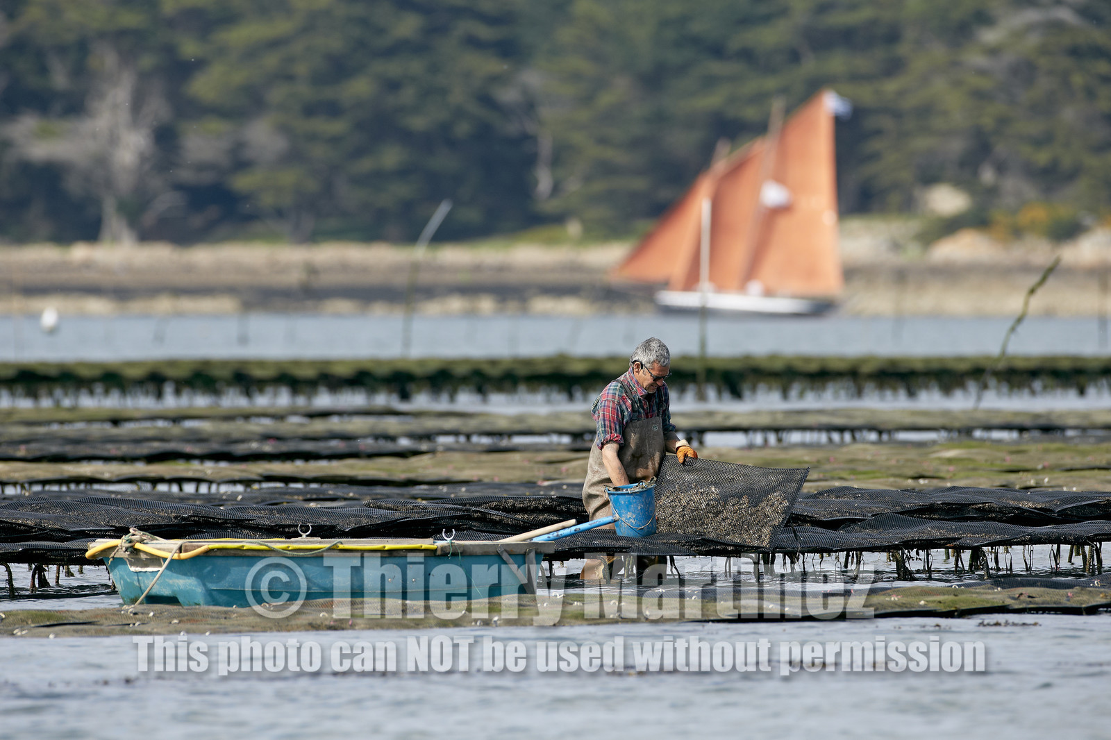 THM-15_46037-SEMAINE du Golfe