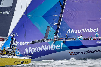 team AkzoNobel  in Volvo Ocean Race 2017-18.