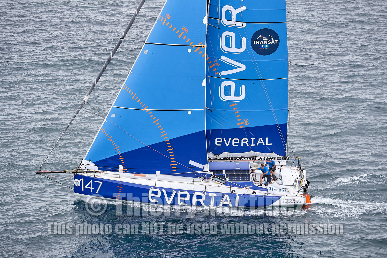 THM-20_10907_DRHEAM CUP