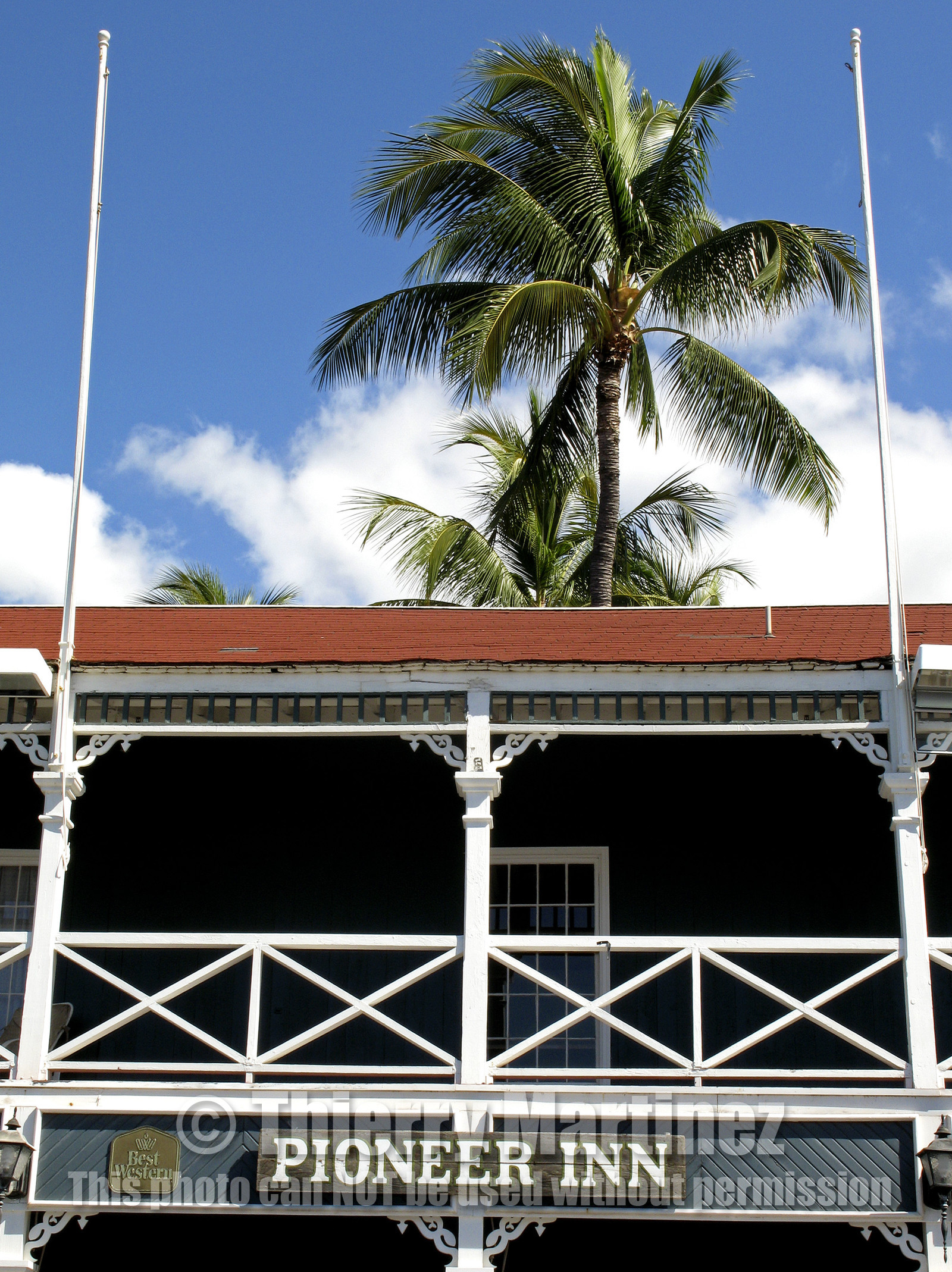 Diving in Maui HAWAII - USA . Jan 2007.