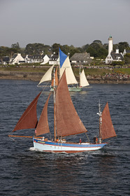 Semaine du Golfe 2015. Parade d'arrivée de la flotte.