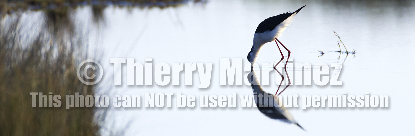 12_08822 LOCMARIAQUER