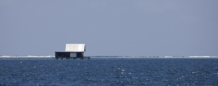 15_023933  ©ThMartinez Sea&Co.  RAIATEA - ILES SOUS LE VENT. POLYNESIE FRANCAISE .  2 Février 2015. ..