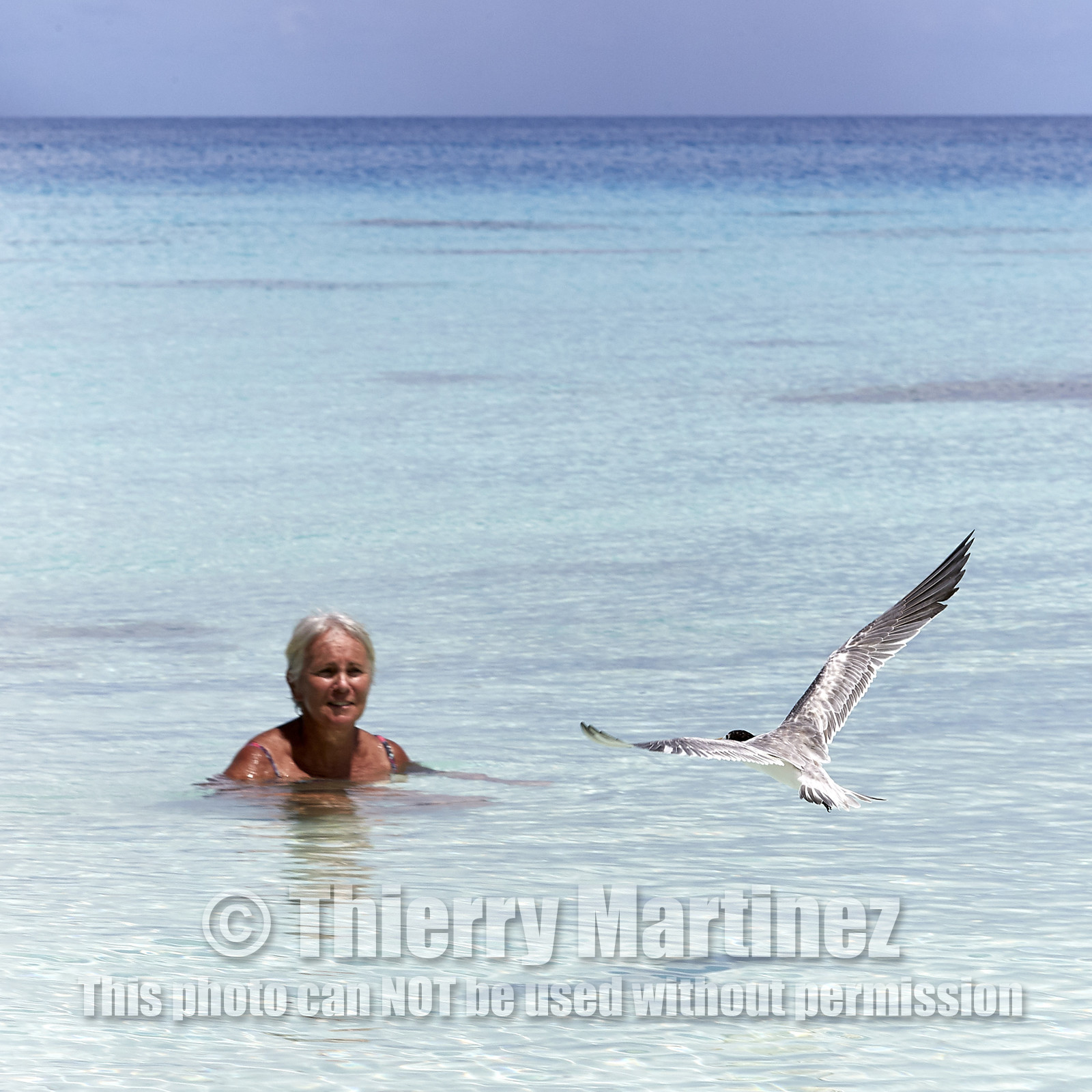 THM-18_040998_FAKARAVA