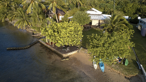 THM-18_038028_TEMEHANI