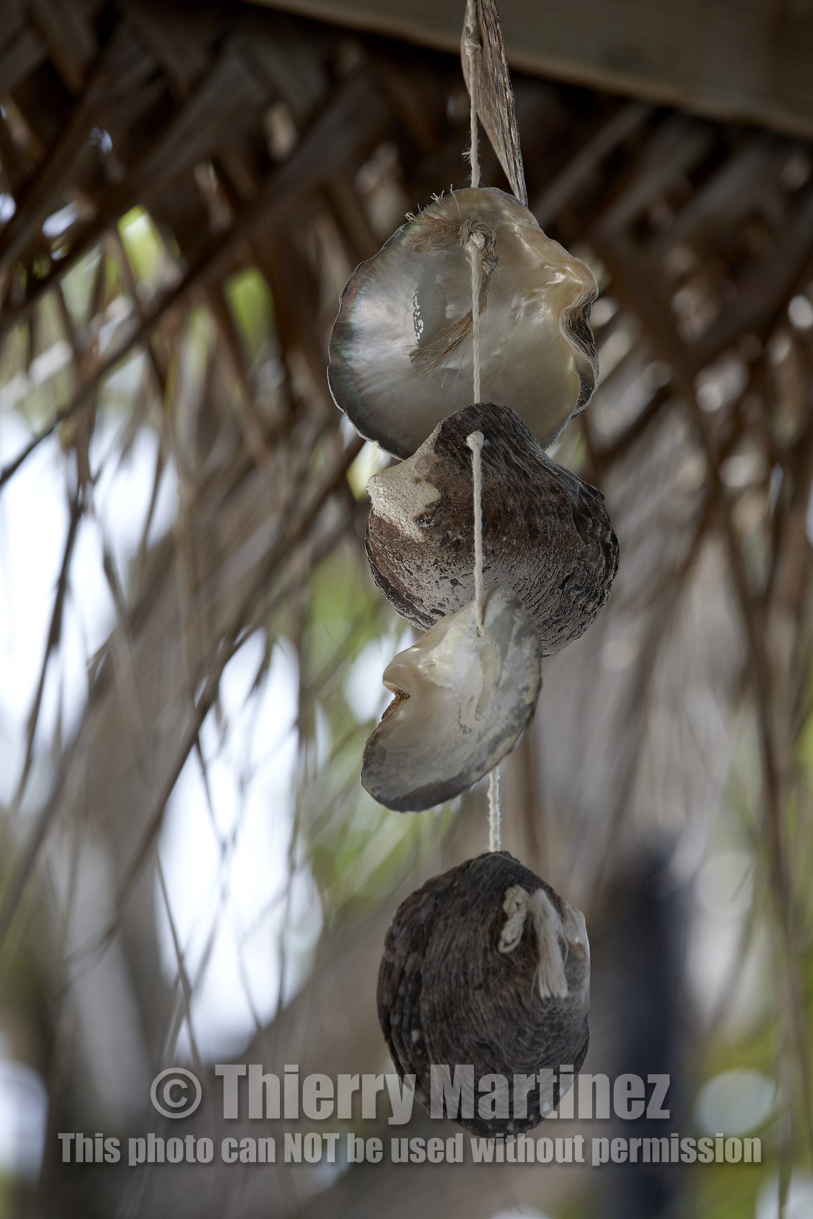15_027775  ©ThMartinez Sea&Co.  FAKARAVA - ARCHIPEL des TUAMOTU. POLYNESIE FRANCAISE .  14 Février 2015. .