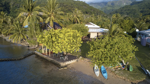 THM-18_038026_TEMEHANI