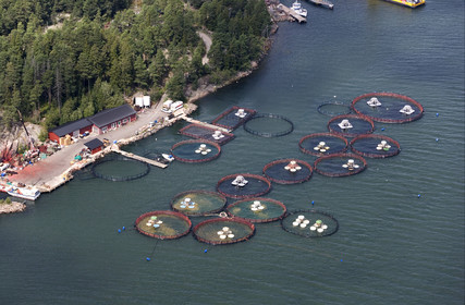 Archipelago Raid 2007 (30 July    3 August 2007).