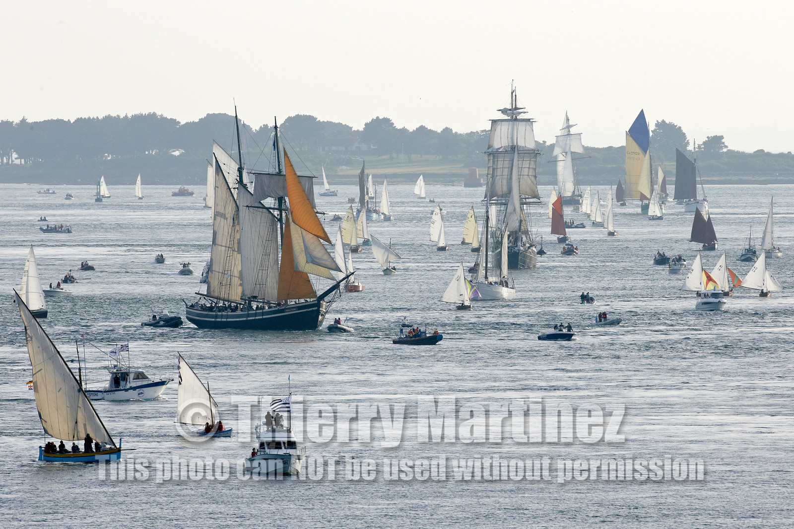 Semaine du Golfe 2015. Parade d'arrivée de la flotte.