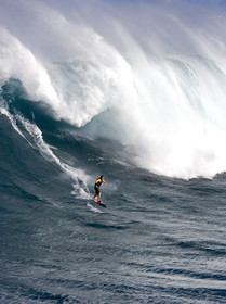 MAUI - HAWAII - USA . Jan 2007.
