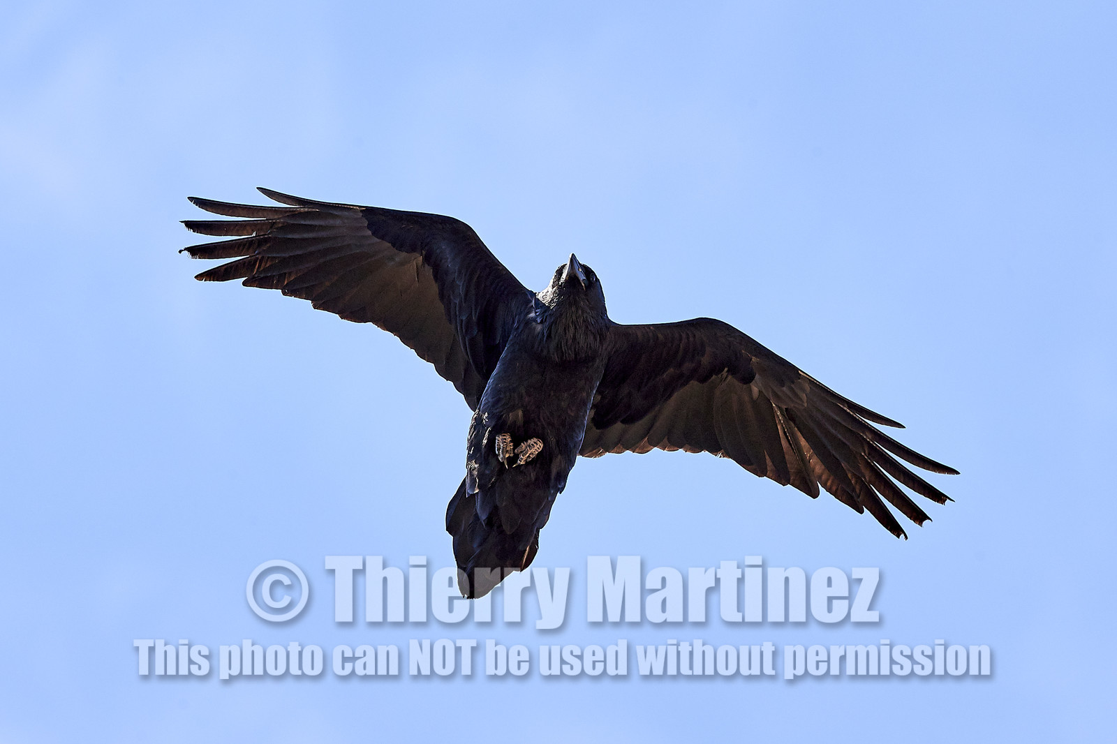 THM-18_057233-GRAND CANYON