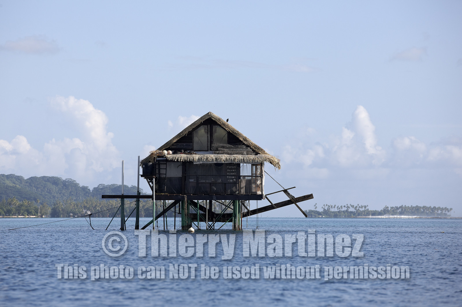 15_025096  ©ThMartinez Sea&Co.  RAIATEA - ILES SOUS LE VENT. POLYNESIE FRANCAISE .  2 Février 2015. ..FERME PERLIERE