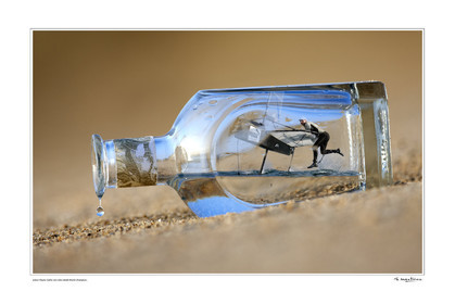 Photo disponible en tirage photo Fine Art,tirage original limités à 30 exemplaires.Chaque tirage est numéroté avec certificat d’authenticité signé.Pour choisir le format et support merci d'utiliser le caddie à coté de la photo.Formats disponibles : Tirage sur papier ( tirage seul) :  30x45 cm   40x60 cm  60x90 cm. Vous pouvez choisir le tirage avec un fond blanc ou noir , à votre convenance. Tirage sur papier contrecollé sur Dibond ( pas de bord blanc ou noir autour de l'image), avec système d'attache au dos:  30x45 cm   40x60 cm  50x75 cm  80x120cm.Tirage sur toile ( Canvas) monté sur chassis bois (pas de bord blanc ou noir autour de l'image), avec système d'attache au dos :  50x75 cm  80x120cm.Expédition ( Dans le monde entier): Colissimo (assurance) avec signature à réception. 48h pour la France métropolitaine.Il est possible de récupérer les tirages à La Galerie du Golfe (sans frais d'expèdition).Conditionnement tirages seuls: tube cylindrique renforcé + boite.