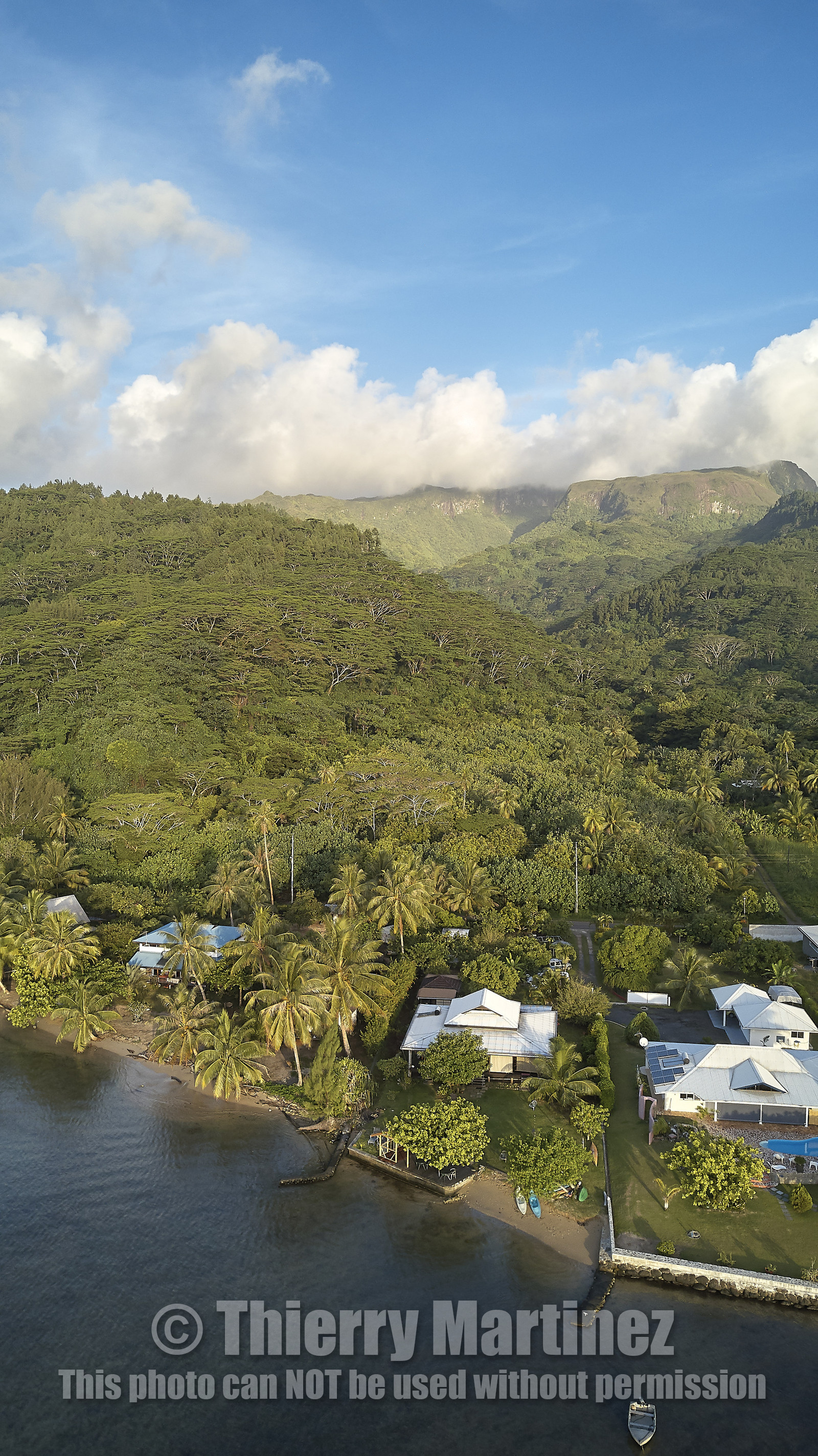 THM-18_038049_TEMEHANI