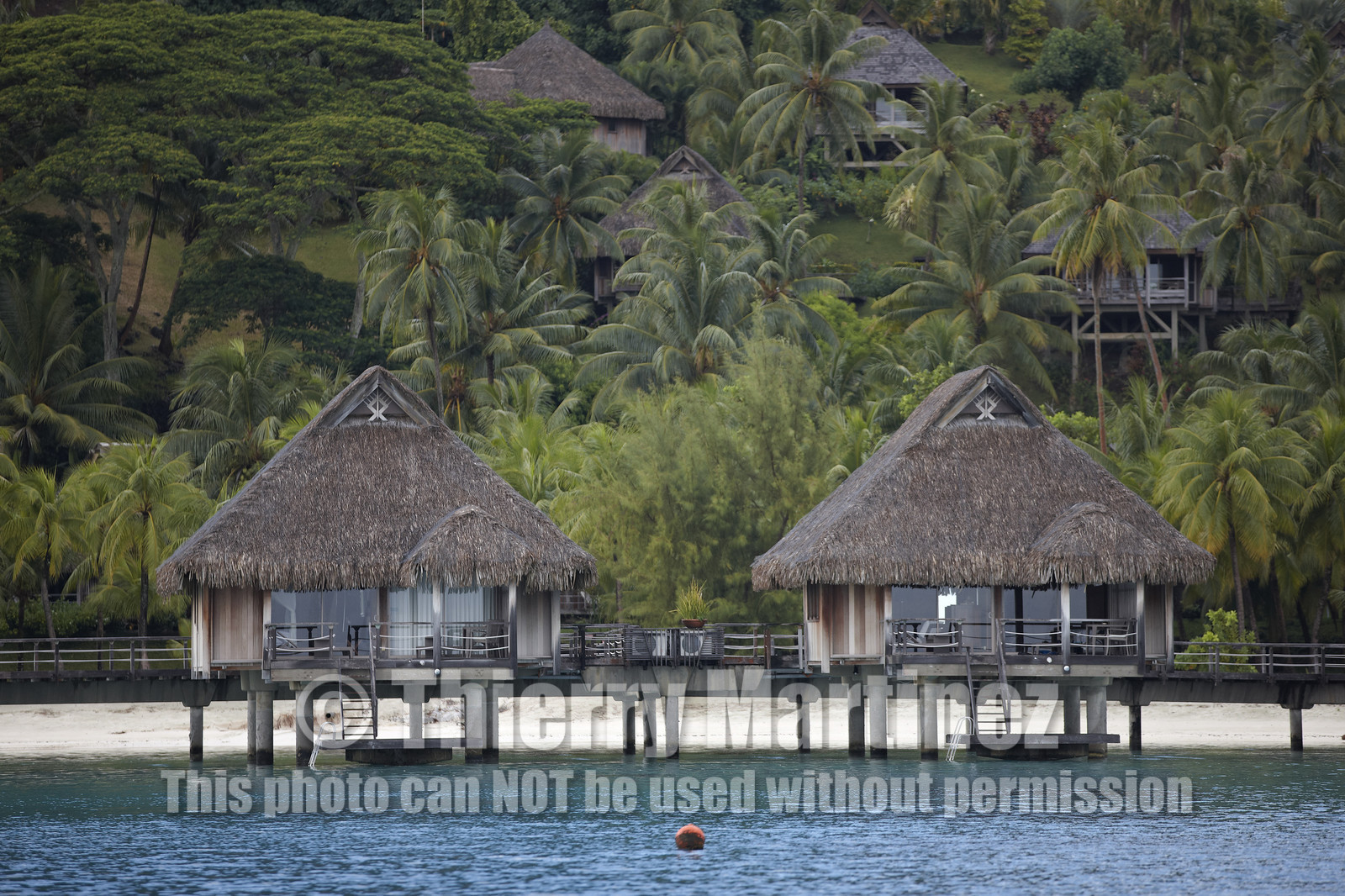 15_026018  ©ThMartinez Sea&Co.  BORA BORA - ILES SOUS LE VENT. POLYNESIE FRANCAISE .  6 Février 2015. ...