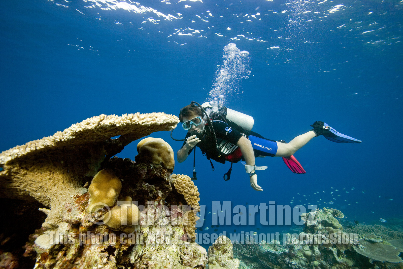 Diving In Maldives Feb March 2007.