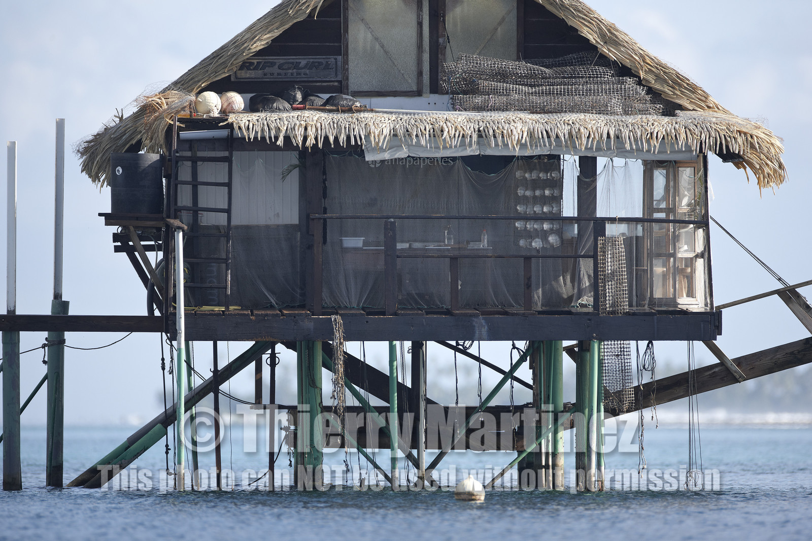 15_025092  ©ThMartinez Sea&Co.  RAIATEA - ILES SOUS LE VENT. POLYNESIE FRANCAISE .  2 Février 2015. ..FERME PERLIERE