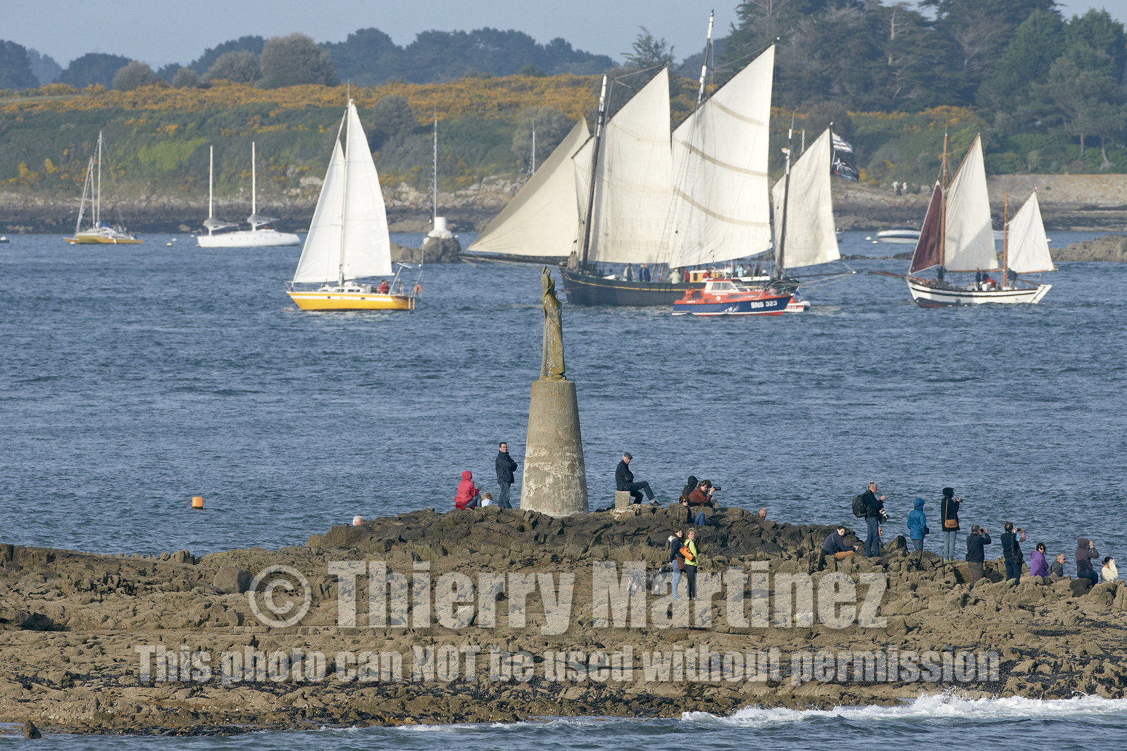 Semaine du Golfe 2015. Parade d'arrivée de la flotte.