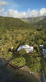 THM-18_038046_TEMEHANI