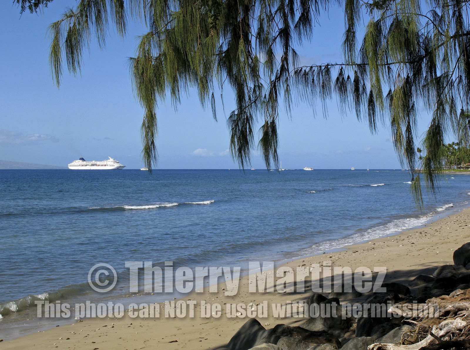 Diving in Maui HAWAII - USA . Jan 2007.