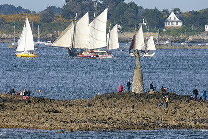 Semaine du Golfe 2015. Parade d'arrivée de la flotte.