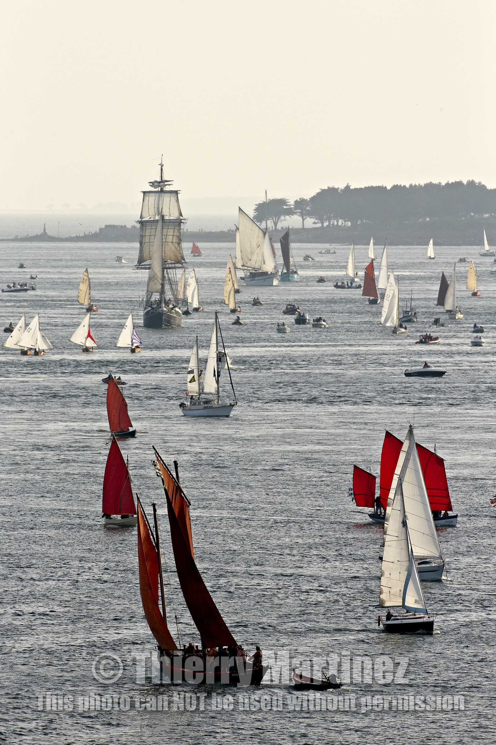Semaine du Golfe 2015. Parade d'arrivée de la flotte.