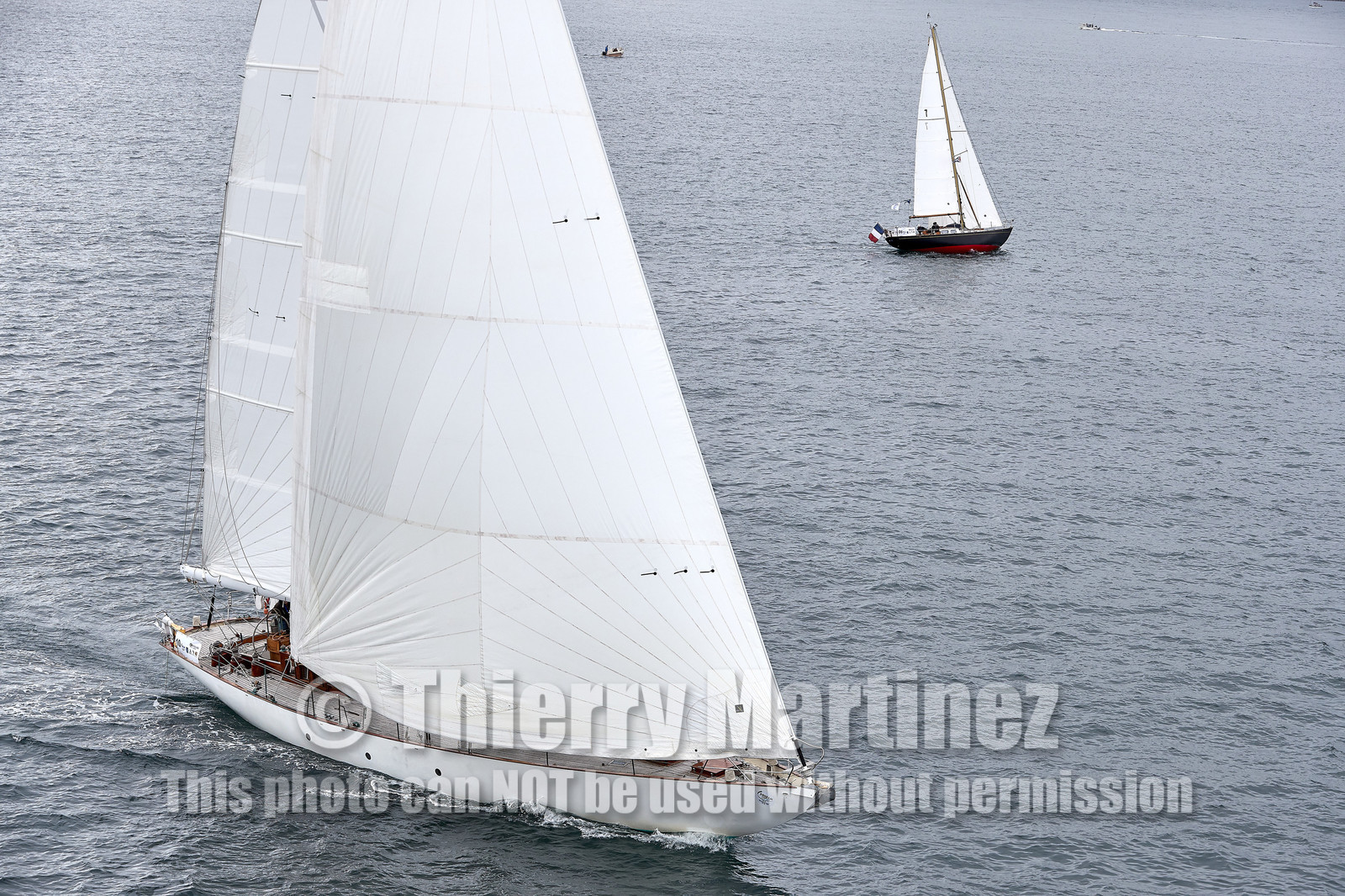 THM-20_10933_DRHEAM CUP