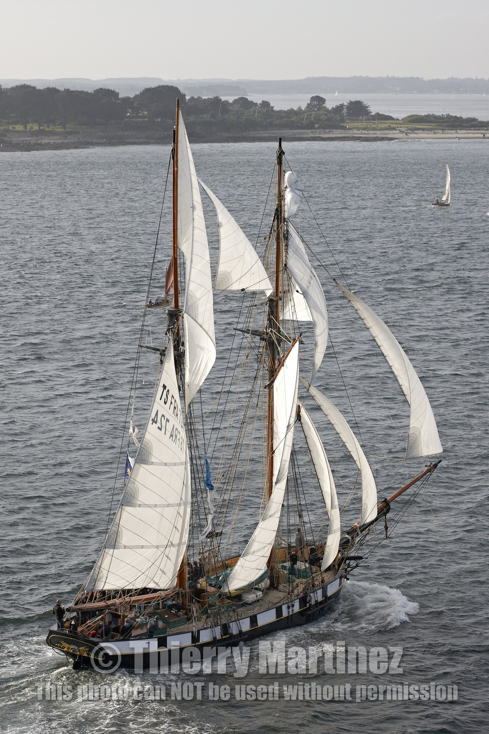 Semaine du Golfe 2015. Parade d'arrivée de la flotte.