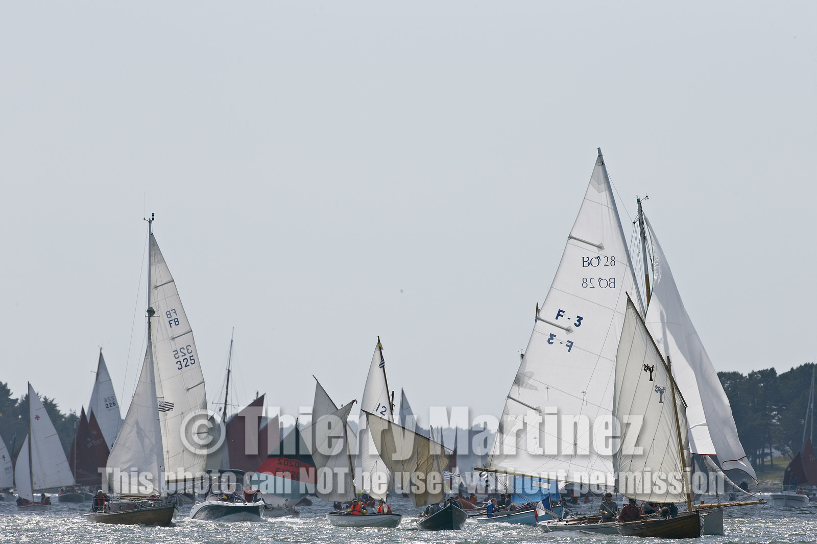 THM-15_48486-SEMAINE du Golfe