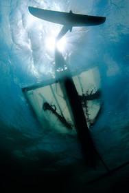 Moth International - Bladerider - Blairgowrie VICTORIA - AUSTRALIE . Feb 2007.