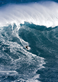 MAUI - HAWAII - USA . Jan 2007.