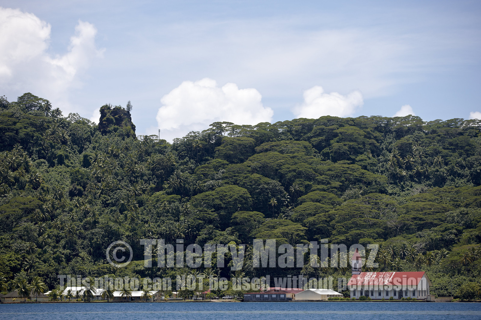 15_023918  ©ThMartinez Sea&Co.  RAIATEA - ILES SOUS LE VENT. POLYNESIE FRANCAISE .  2 Février 2015. ..