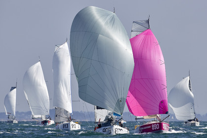 THM-17_010080-MINIenMai