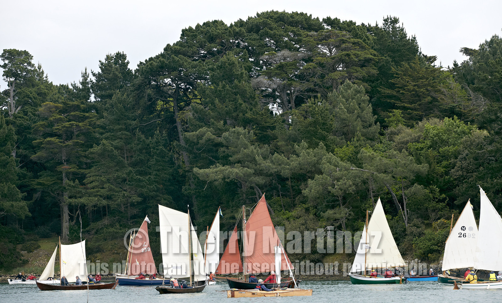 THM-15_47074-SEMAINE du Golfe