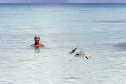 THM-18_041055_FAKARAVA