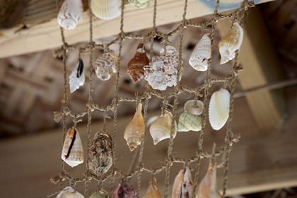 15_027796  ©ThMartinez Sea&Co.  FAKARAVA - ARCHIPEL des TUAMOTU. POLYNESIE FRANCAISE .  14 Février 2015. .