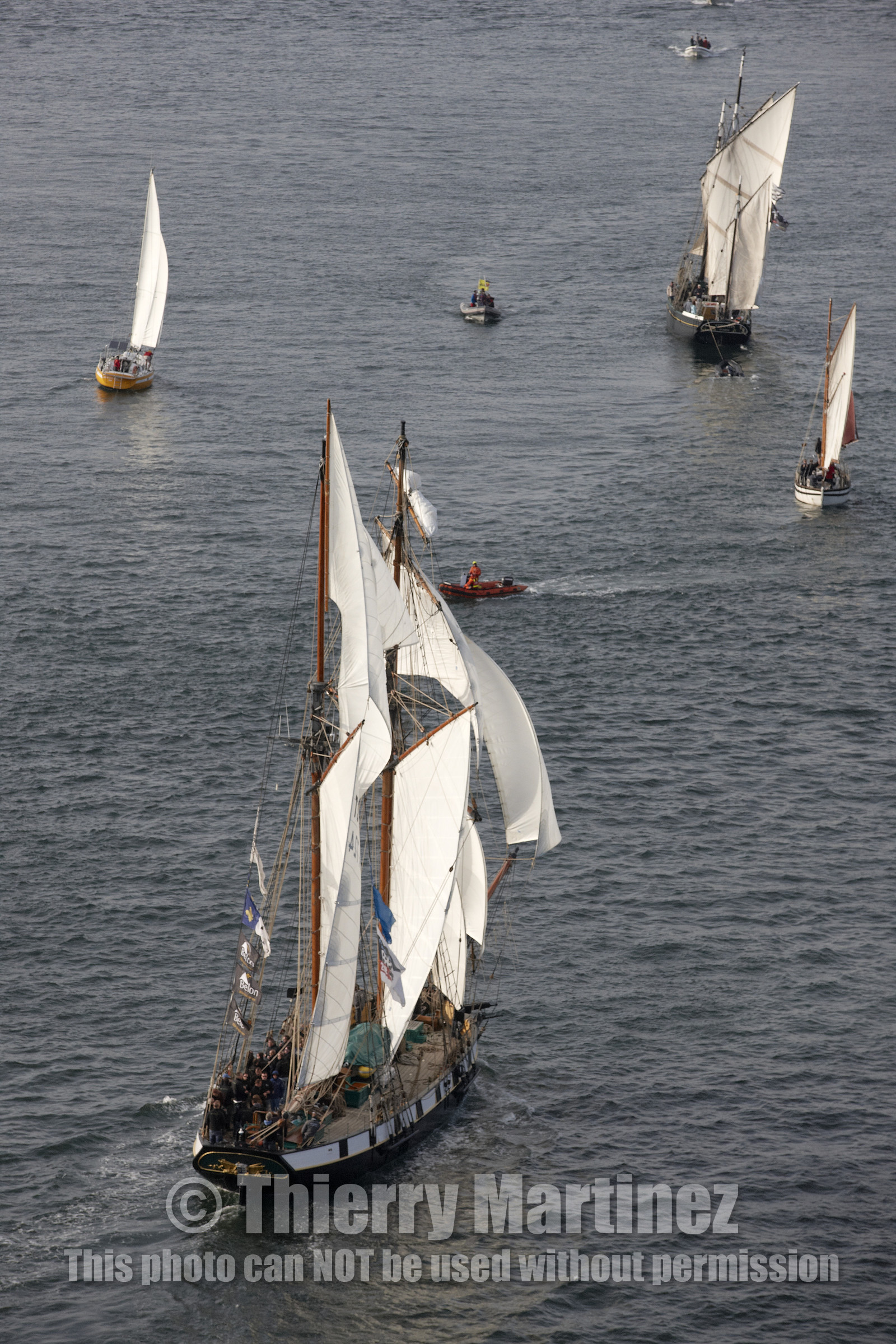 Semaine du Golfe 2015. Parade d'arrivée de la flotte.