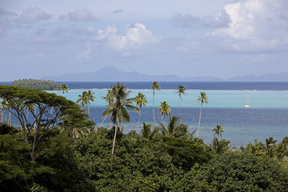 15_024399  ©ThMartinez Sea&Co.  RAIATEA - ILES SOUS LE VENT. POLYNESIE FRANCAISE .  2 Février 2015. ..