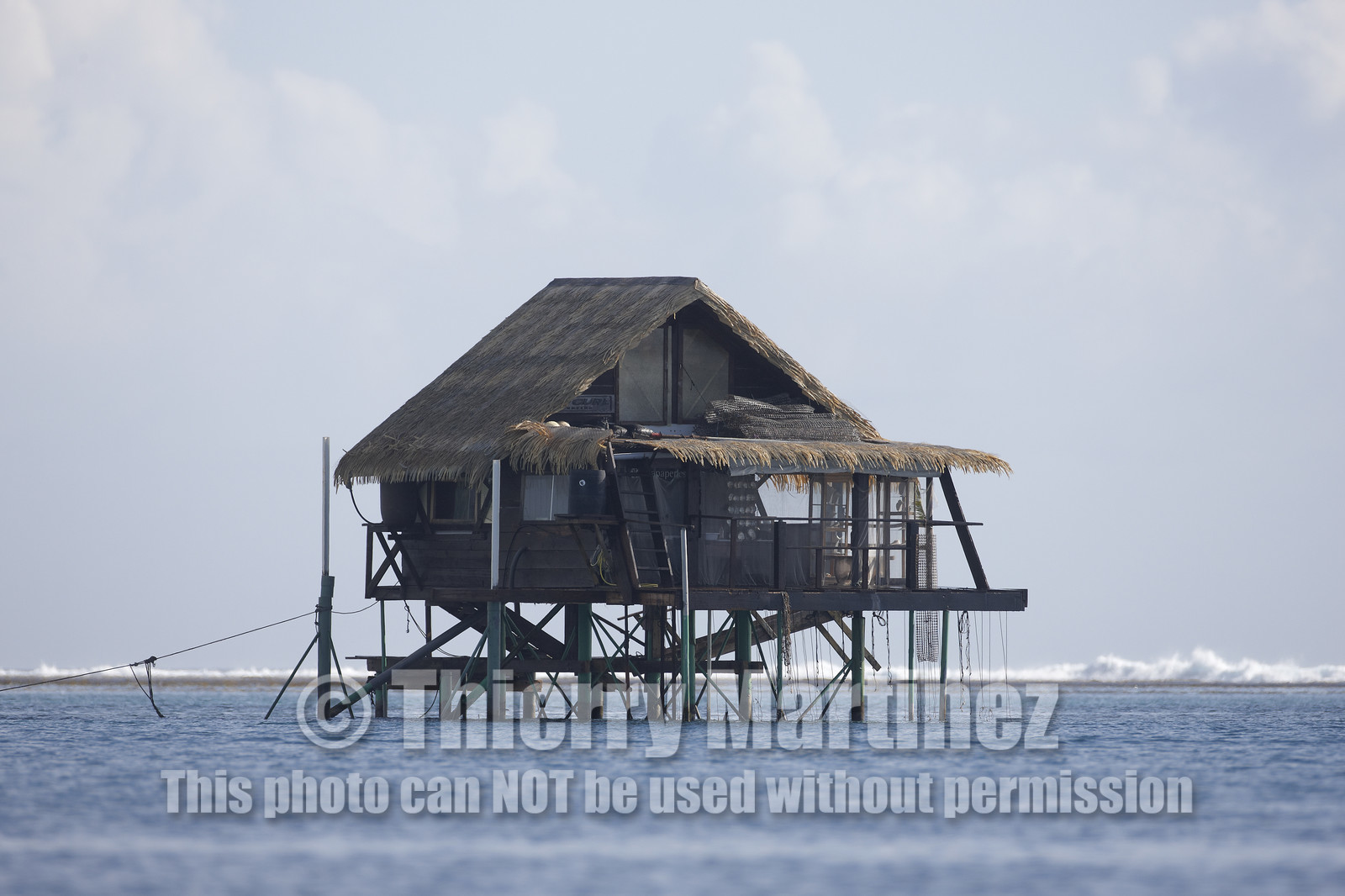 15_025087  ©ThMartinez Sea&Co.  RAIATEA - ILES SOUS LE VENT. POLYNESIE FRANCAISE .  2 Février 2015. ..FERME PERLIERE