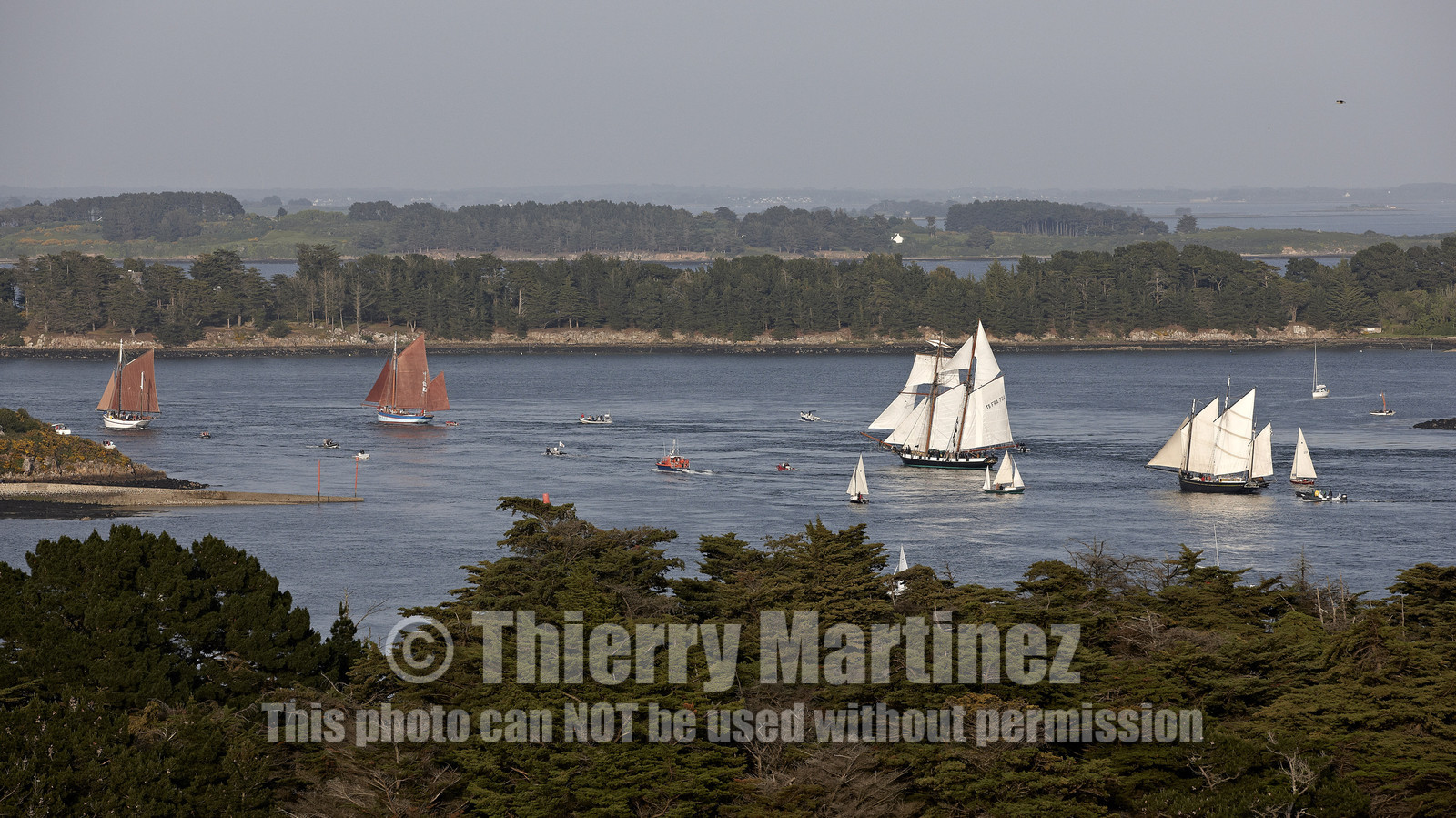 Semaine du Golfe 2015. Parade d'arrivée de la flotte.